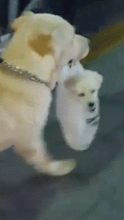 피시방 에서 게임 하다가 엄마 한테 들킴 | 인스티즈