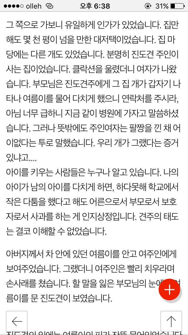 저희 개가 (여름이) 다른 개에게 물려 죽었습니다...(사진) | 인스티즈