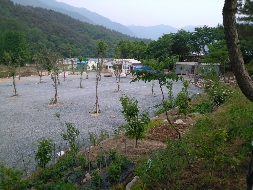 들살이오토캠핑장 이미지