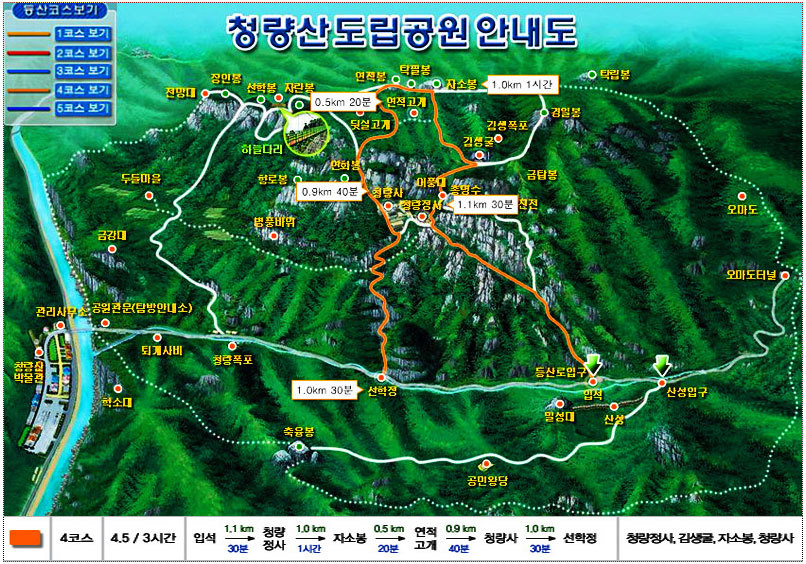 영우 이미지