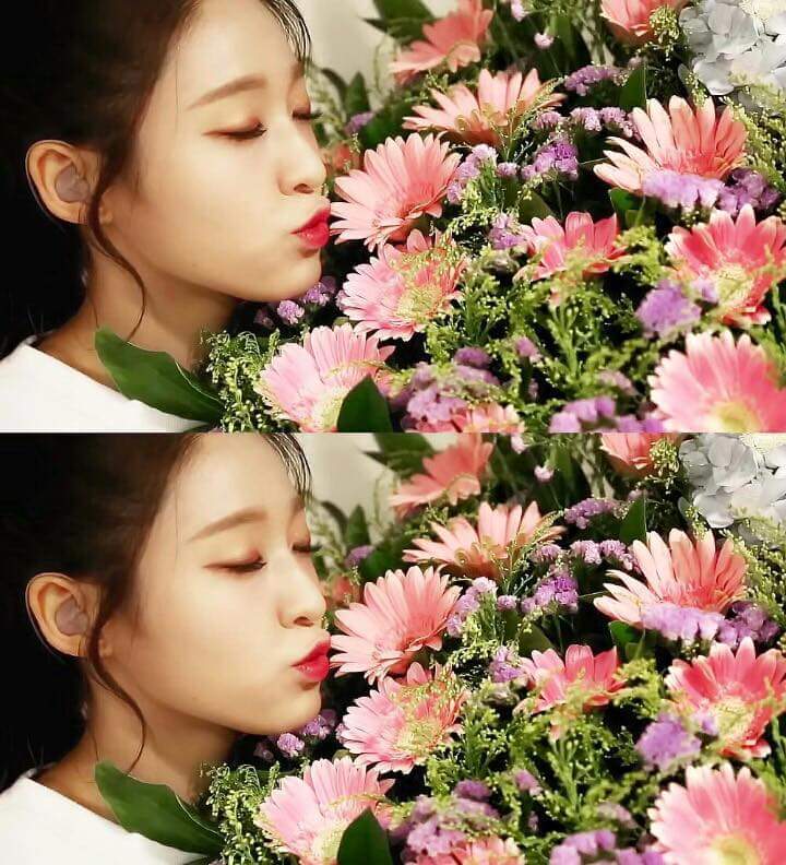 AOA 설현 비주얼.jpg | 인스티즈