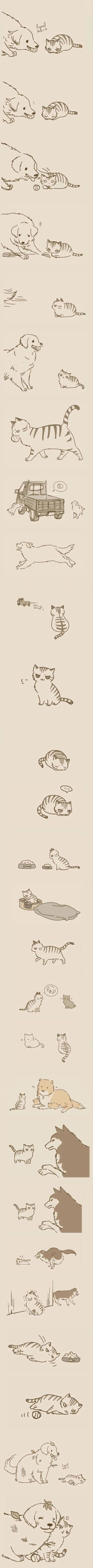 개 고양이 만화 | 인스티즈