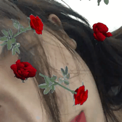 백예린 인스타 | 인스티즈