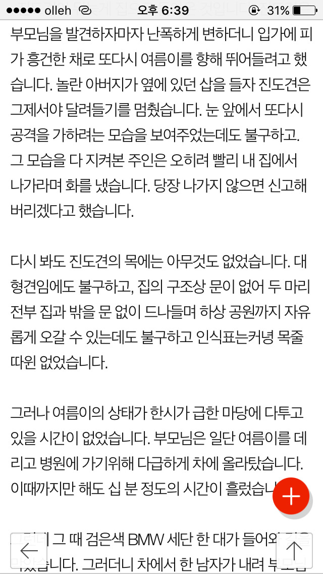 저희 개가 (여름이) 다른 개에게 물려 죽었습니다...(사진) | 인스티즈