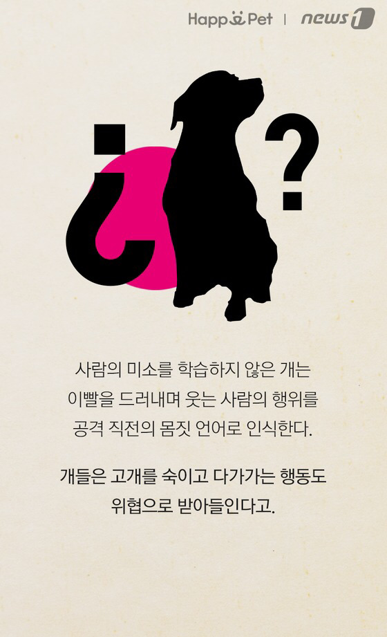 세상에 안 무는 개는 없다 | 인스티즈