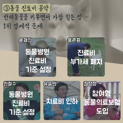 대선후보 5인의 반려동물 공약 | 인스티즈