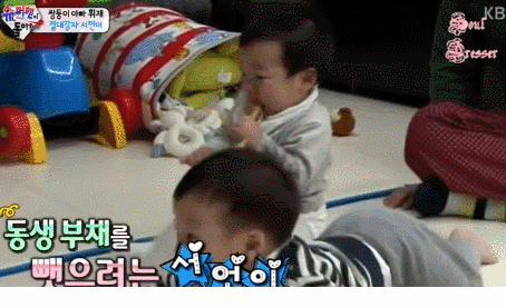 귀염둥이 쌍둥이 | 인스티즈