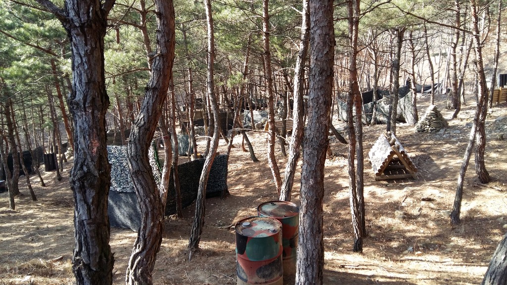 레포츠엔터테인먼트 이미지