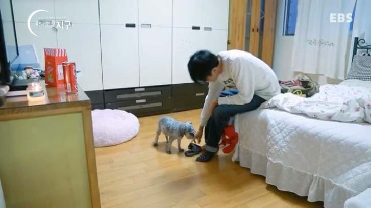  당신은 반려동물과 이별할 준비가 되었나요? | 인스티즈