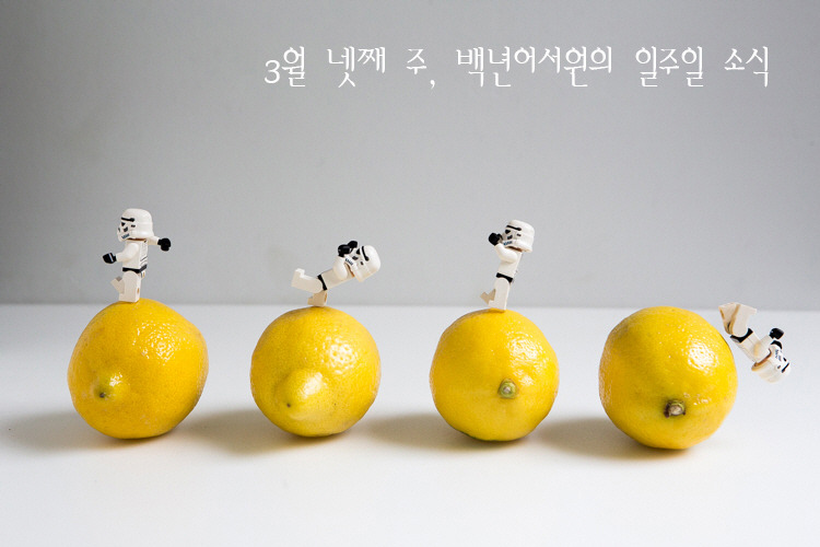 가톨릭서원 이미지