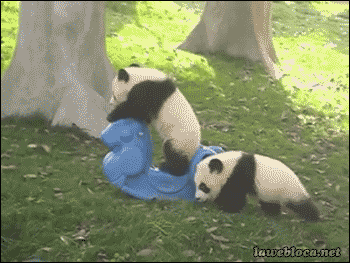 낙마사고 .gif | 인스티즈