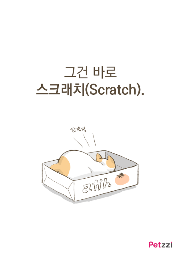 고양이가 긁는 이유(만화).jpg | 인스티즈
