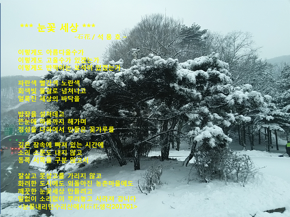 눈꽃세상 이미지
