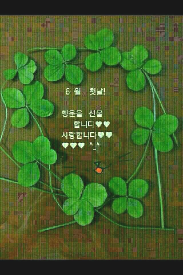 하루꽃집 이미지