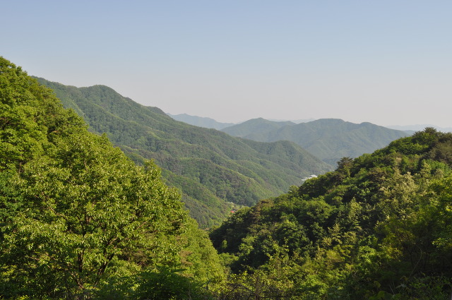 산천초목 이미지