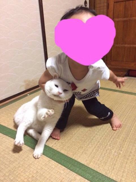 극한직업 고양이편 | 인스티즈