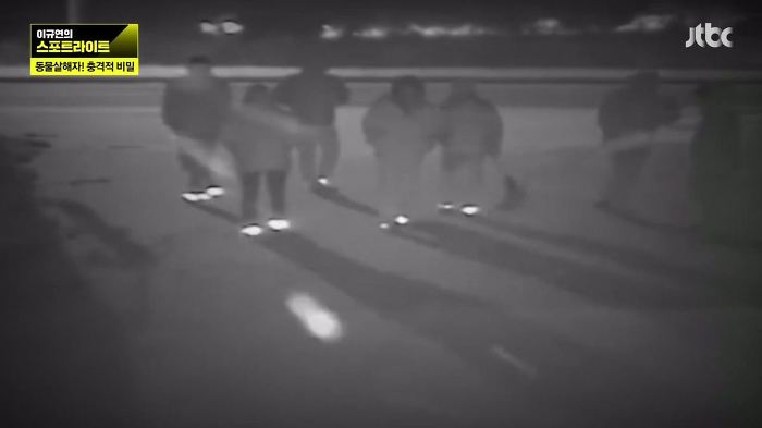 개 50여마리를 담뱃불로 지지고 던지고 매질해 살해한 남고생 7명.jpg | 인스티즈