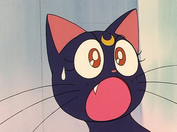 미소녀 전사 세일러문 (美少女戦士セーラームーン) 26 | 인스티즈