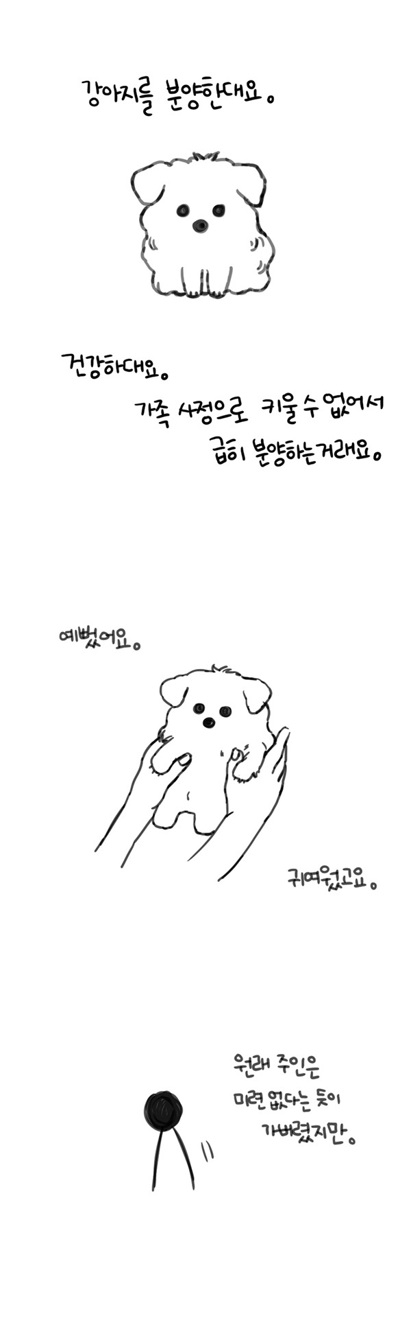 반려견 사기 피해자들의 제보를 받고 있습니다 | 인스티즈