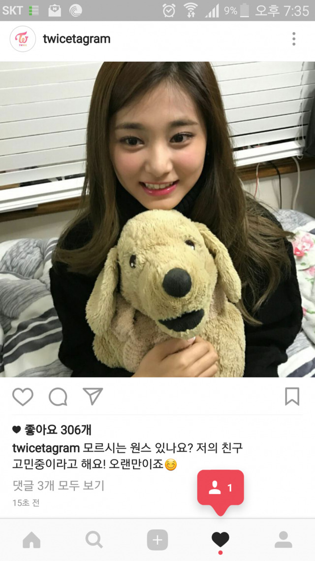 트와이스 인스타...아니라 개스타 업데이트 | 인스티즈