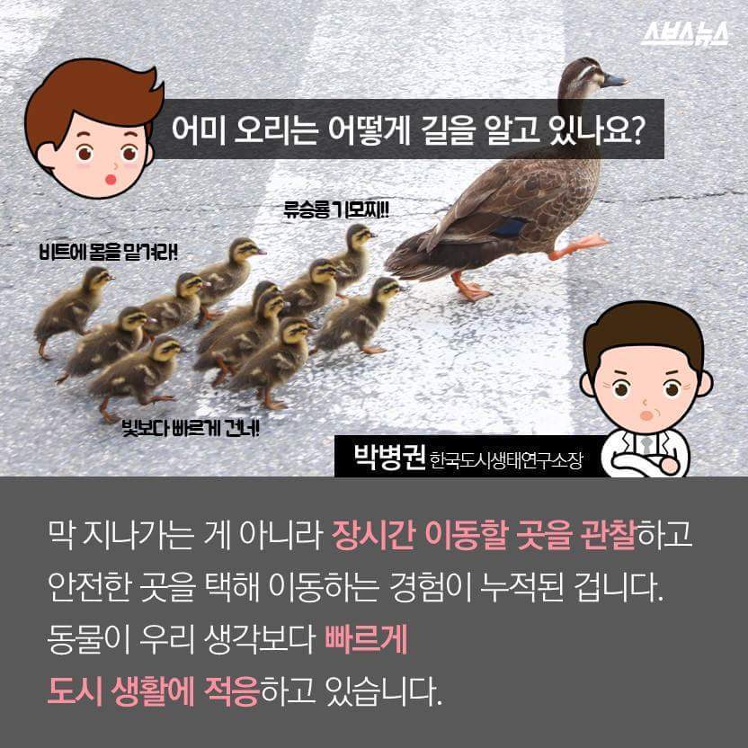 당신은 당신의 이웃을 사랑하십니까? | 인스티즈