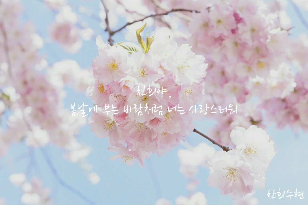 오십구 이미지