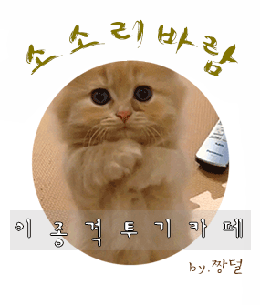 주갤 우병우 수사들어감 ㅋ | 인스티즈