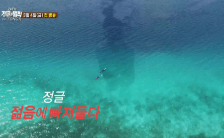 정글의 법칙 설현.gif | 인스티즈