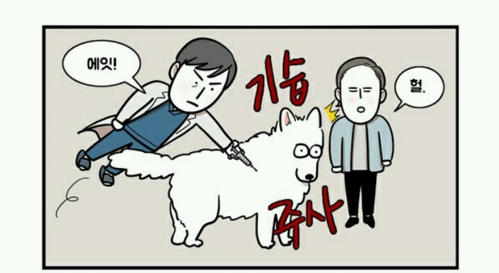 대형견 키우는 사람 공감 | 인스티즈