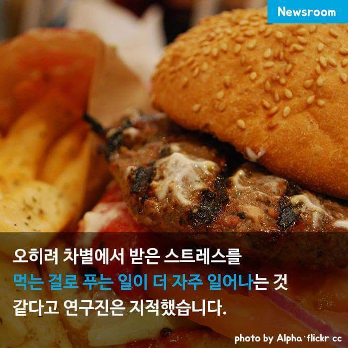 뚱뚱하다고 놀리지 마세요 | 인스티즈