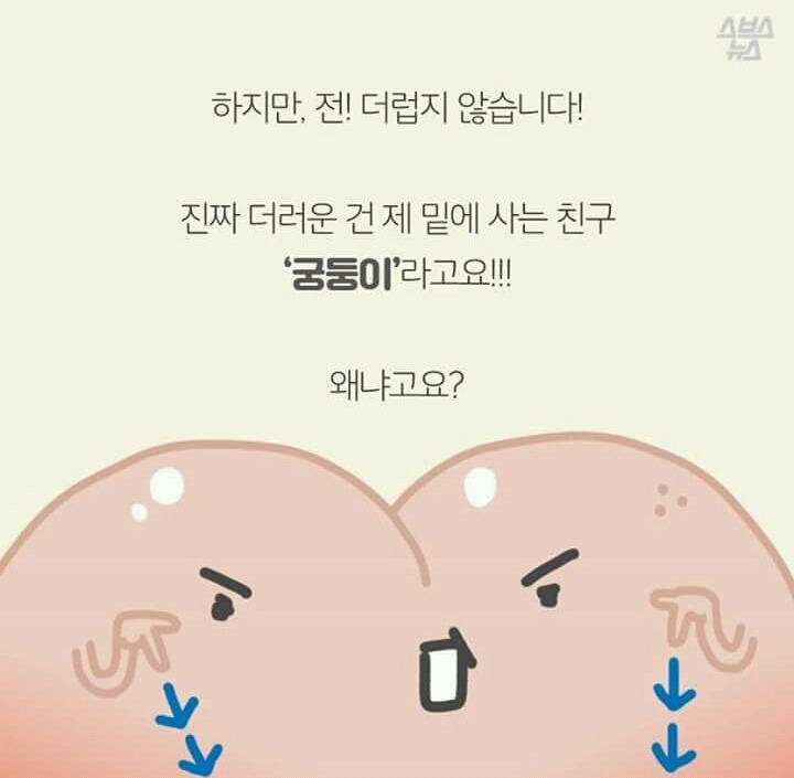 억울한 살덩이의 외침 (궁둥이와 엉덩이) | 인스티즈