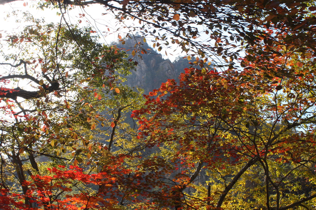 평산방 이미지