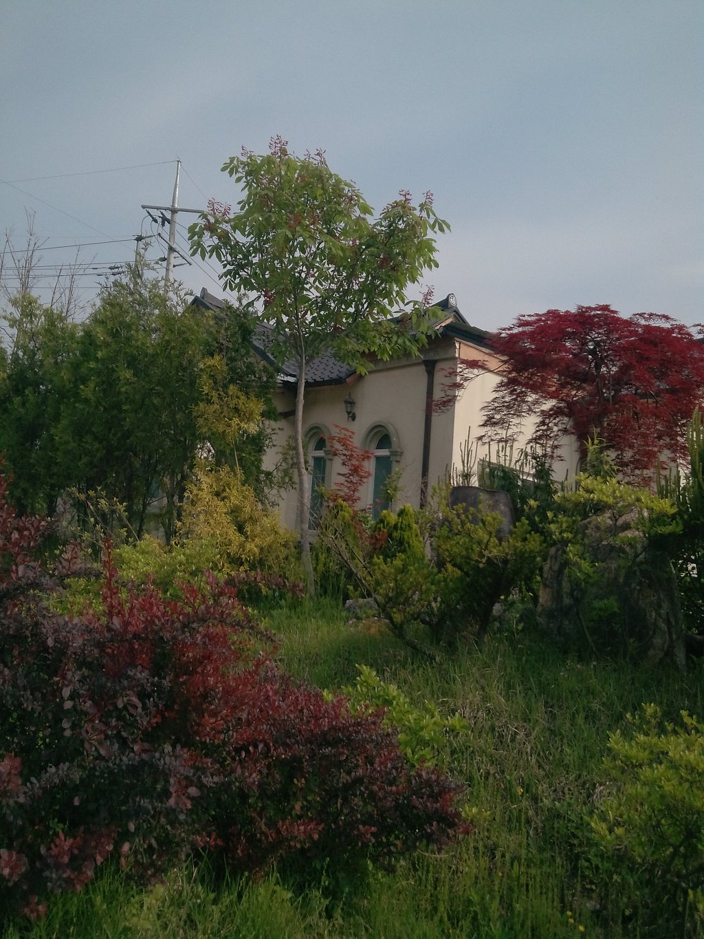 이화민박 이미지