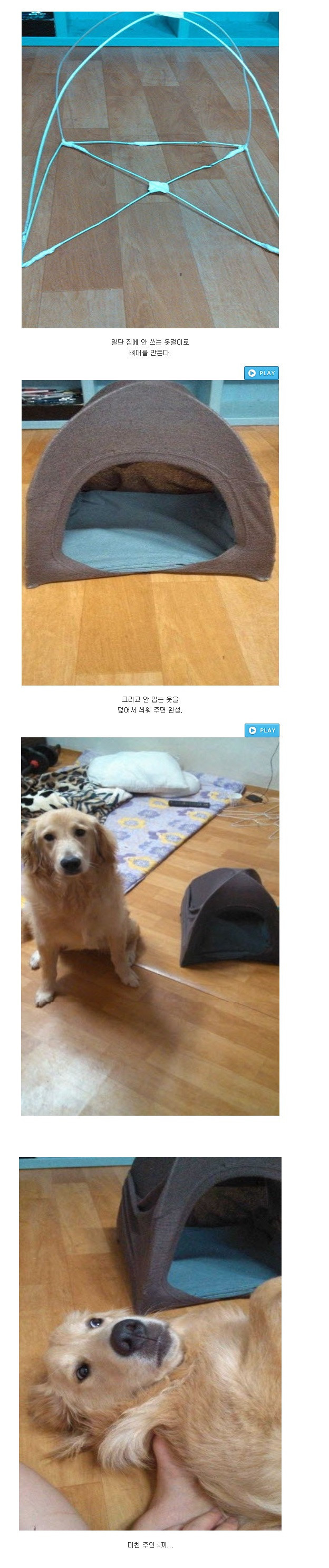 강아지집 만들기 | 인스티즈