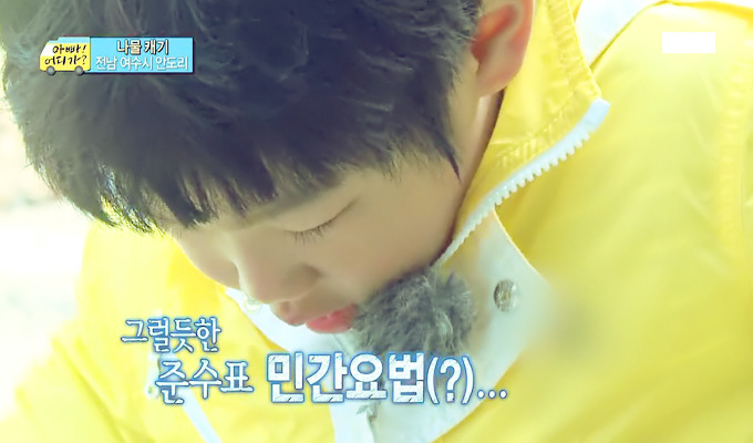 [아빠어디가] 준수 얼굴에 못생김이 묻었던 순간들ㅋㅋ.jpg | 인스티즈