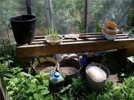 고양이 찾기에 도전해보세요! 힌트 추가! | 인스티즈