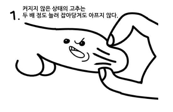 여자는 잘 모르는 꼬추의 비밀 | 인스티즈