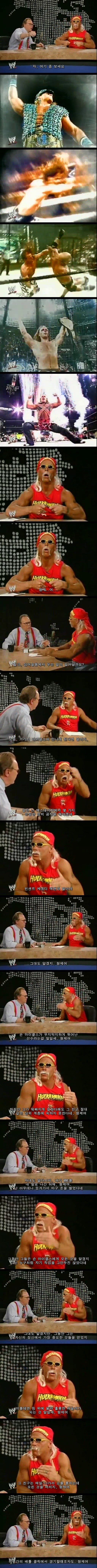 헐크 호건 코스프레하고 조롱하는 숀 마이클스 말빨 수준 | 인스티즈