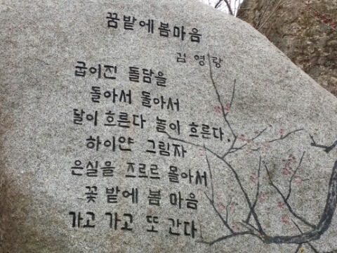 쪽빛나들이 이미지