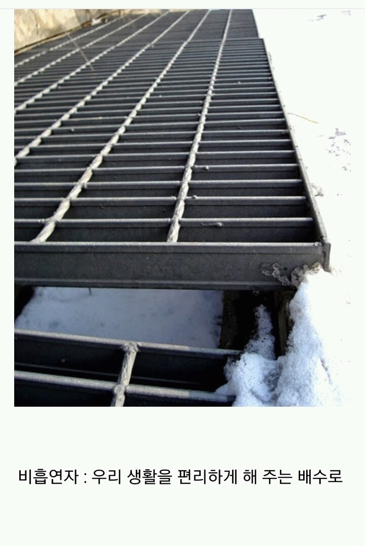 꽁초충 길빵충 가래충이 시룸인 이유 (feat.푸념주의) | 인스티즈