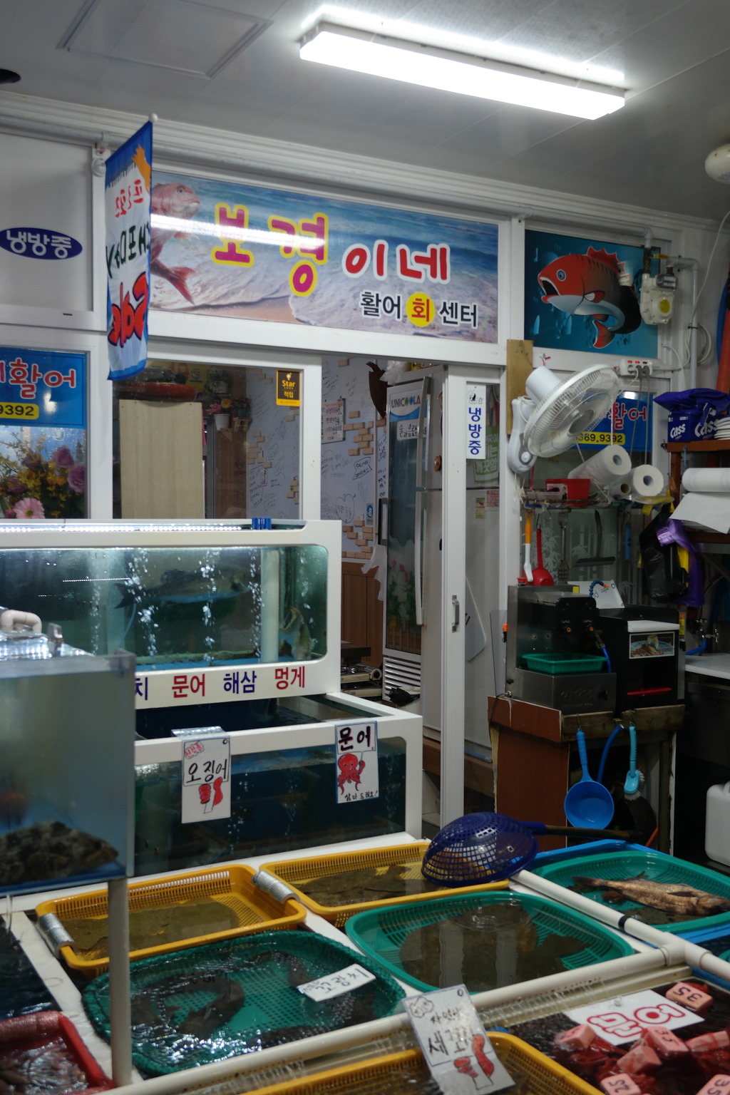 보경이네 이미지