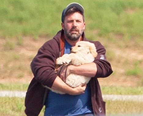 덩치 큰 개들도 자기가 애기인줄 앎.jpg (feat. 대형견의 짱덕포인트) | 인스티즈