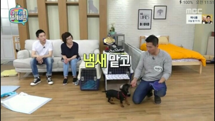 [마리텔] 강형욱 훈련사도 포기한 강아지 도비 | 인스티즈