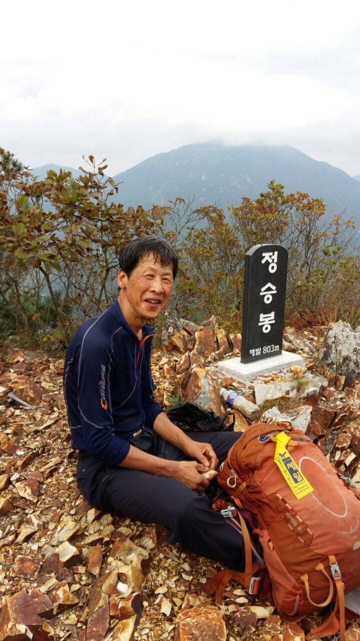 옥실이네 이미지