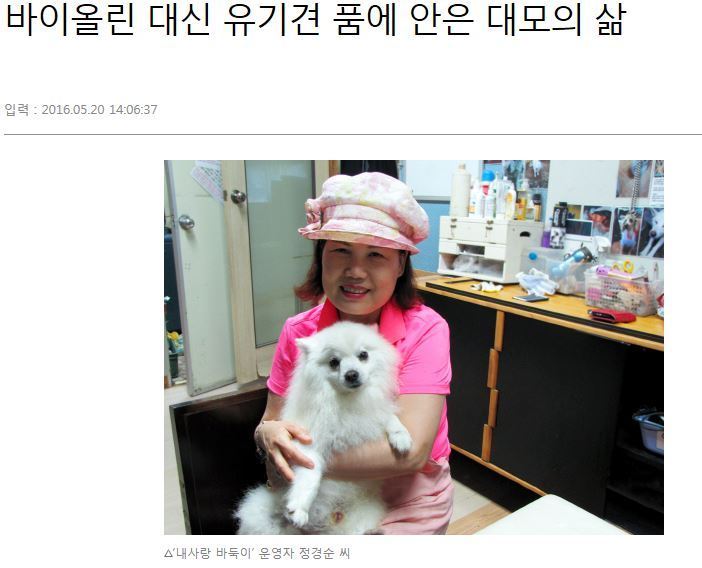 안락사없는 보호소 내사바가 철거를 앞두고 모자른 공사모금비 모금중이에요ㅠㅠ 냥이사료,목줄,모기향 등도 부족해요 (불법개사육장에서 구조된 아이들 이야기) | 인스티즈