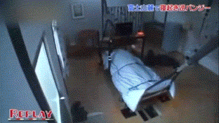 일본예능의 흔한 몰카 gif | 인스티즈