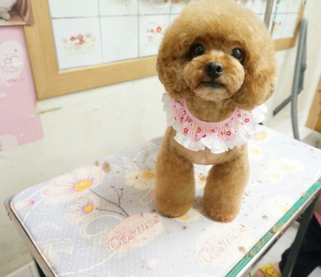 강미용실 이미지