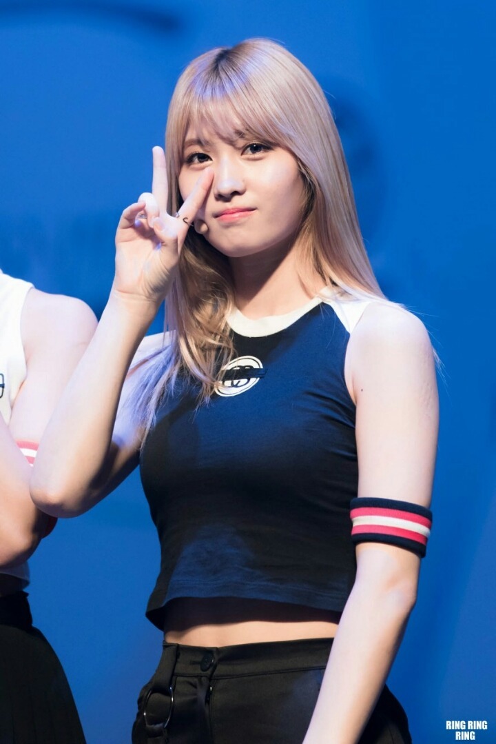 [트와이스] 스페셜 팬미팅 모음 | 인스티즈