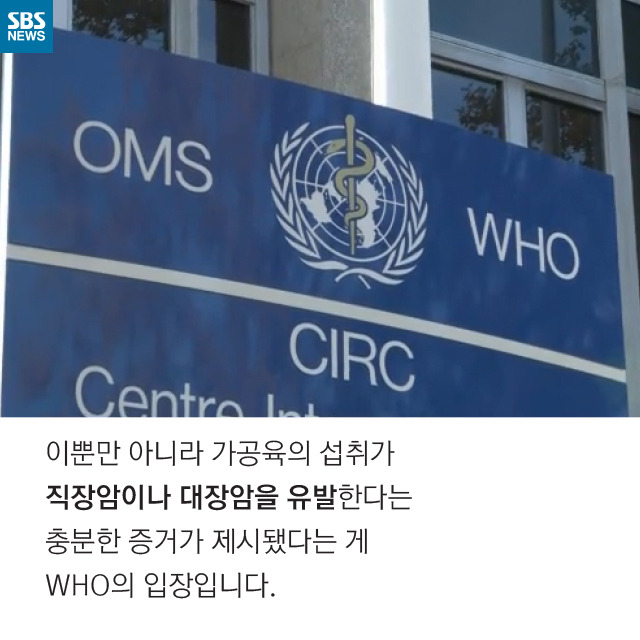 소시지는 암을 유발한다(?) | 인스티즈