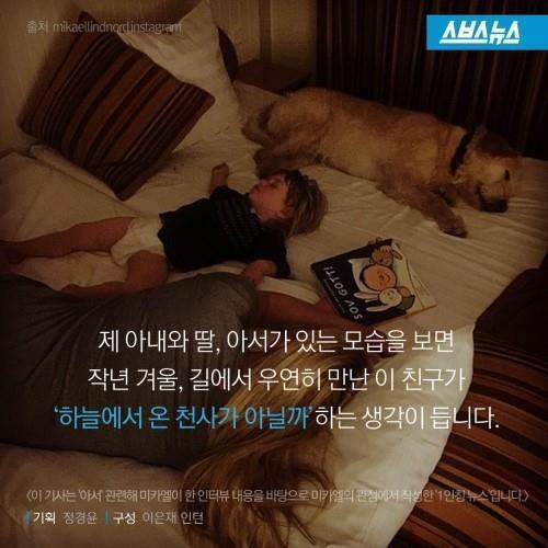 길에서 만난 친구 .jpg | 인스티즈